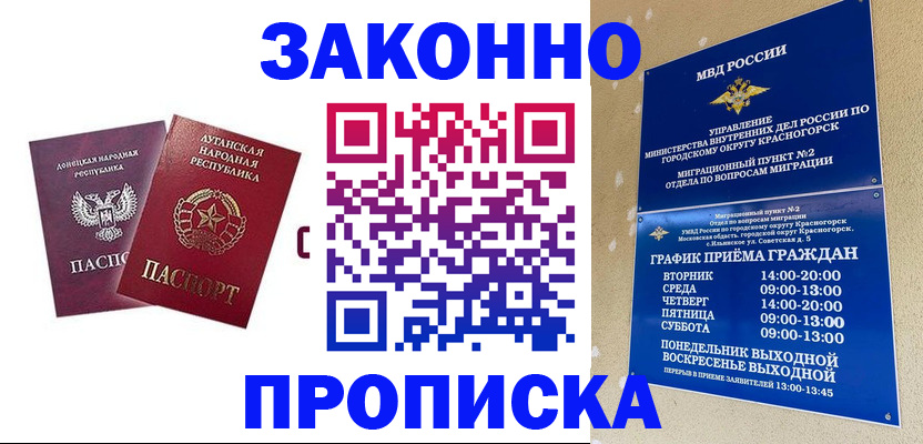 прописка в Щёкино